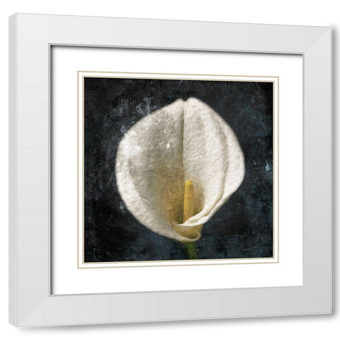 Dark Tulip White Modern Wood Framed Art Print with Double Matting by Grey, Jace