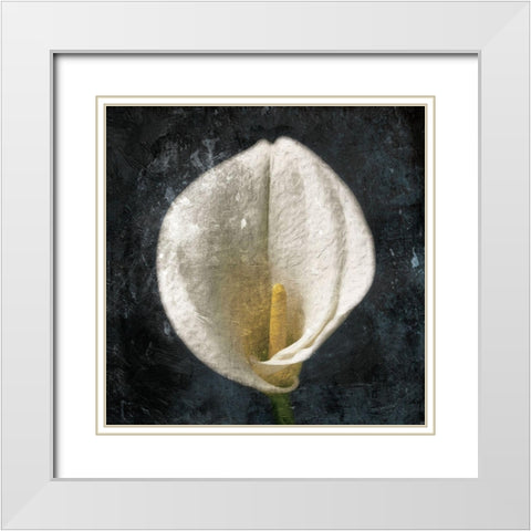 Dark Tulip White Modern Wood Framed Art Print with Double Matting by Grey, Jace