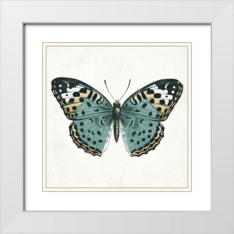 Neutral Butterfly 2 White Modern Wood Framed Art Print with Double Matting by Grey, Jace