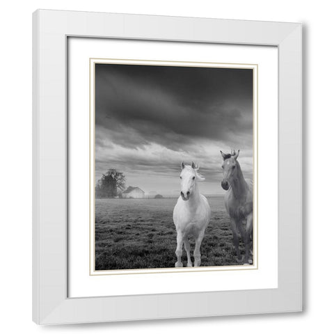 Not So Gray Times White Modern Wood Framed Art Print with Double Matting by Keith, Jesse