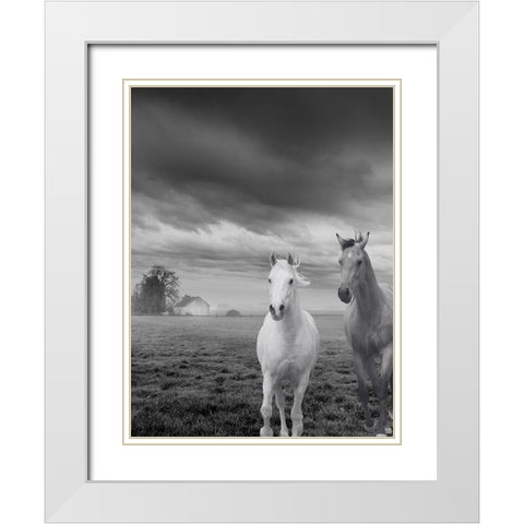 Not So Gray Times White Modern Wood Framed Art Print with Double Matting by Keith, Jesse