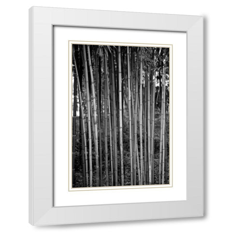 Beach Foliage 2 White Modern Wood Framed Art Print with Double Matting by Grey, Jace