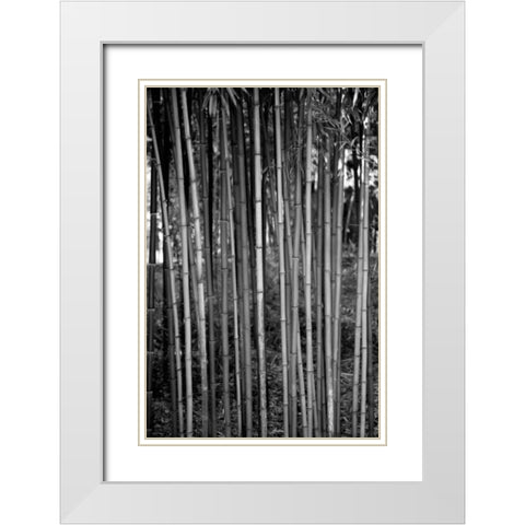Beach Foliage 2 White Modern Wood Framed Art Print with Double Matting by Grey, Jace