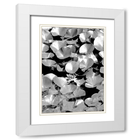 Beach Foliage 5 White Modern Wood Framed Art Print with Double Matting by Grey, Jace