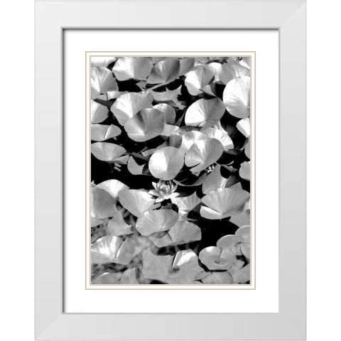 Beach Foliage 5 White Modern Wood Framed Art Print with Double Matting by Grey, Jace