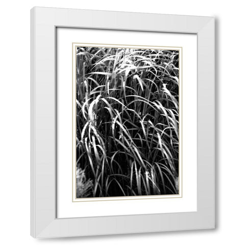 Beach Foliage 7 White Modern Wood Framed Art Print with Double Matting by Grey, Jace