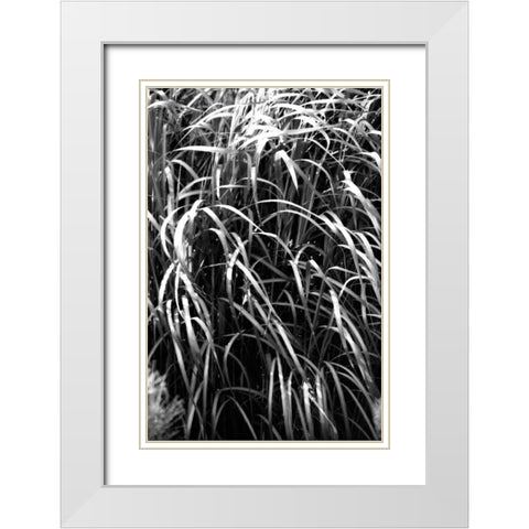 Beach Foliage 7 White Modern Wood Framed Art Print with Double Matting by Grey, Jace