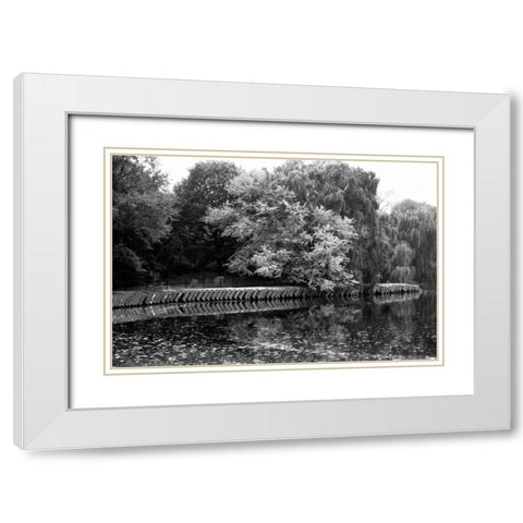 entral Park Feather H White Modern Wood Framed Art Print with Double Matting by Grey, Jace