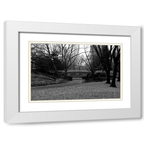 Central Park Bridge 3 White Modern Wood Framed Art Print with Double Matting by Grey, Jace