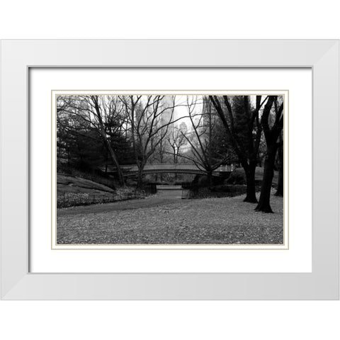 Central Park Bridge 3 White Modern Wood Framed Art Print with Double Matting by Grey, Jace