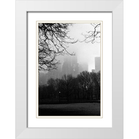 Central Park A White Modern Wood Framed Art Print with Double Matting by Grey, Jace