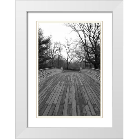 Central Park Bridge 4 White Modern Wood Framed Art Print with Double Matting by Grey, Jace