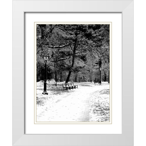 Central Park Snowy Scene 2 White Modern Wood Framed Art Print with Double Matting by Grey, Jace