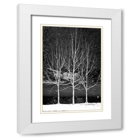 Central Park Three Amigos Winter White Modern Wood Framed Art Print with Double Matting by Grey, Jace