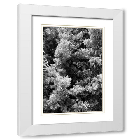 Beach Foliage 3 White Modern Wood Framed Art Print with Double Matting by Grey, Jace