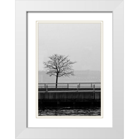 Tree View 1 White Modern Wood Framed Art Print with Double Matting by Pica, Jeff
