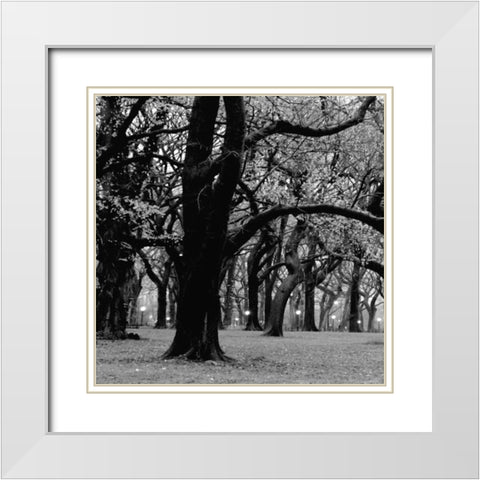 Central Park 2A White Modern Wood Framed Art Print with Double Matting by Grey, Jace