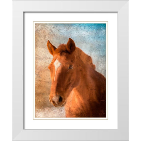 In Your Eyes White Modern Wood Framed Art Print with Double Matting by Allen, Kimberly