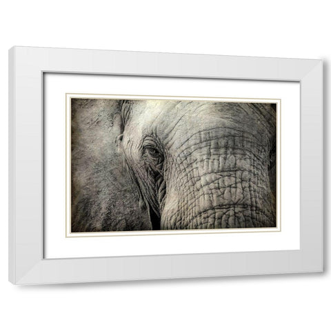 Gazing White Modern Wood Framed Art Print with Double Matting by Kimberly, Allen
