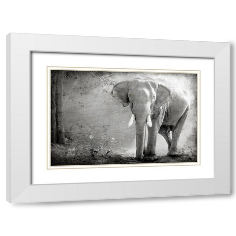 Olde Grey White Modern Wood Framed Art Print with Double Matting by Kimberly, Allen
