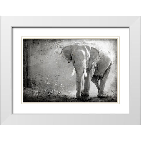 Olde Grey White Modern Wood Framed Art Print with Double Matting by Kimberly, Allen