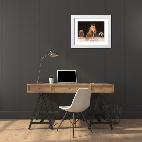 Smiles from the Barn White Modern Wood Framed Art Print with Double Matting by Kimberly, Allen