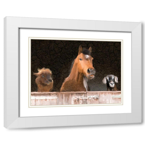 Smiles from the Barn White Modern Wood Framed Art Print with Double Matting by Kimberly, Allen
