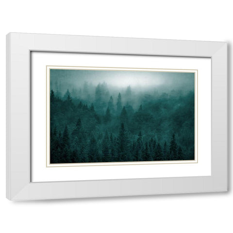 Emerald Forest White Modern Wood Framed Art Print with Double Matting by Kimberly, Allen