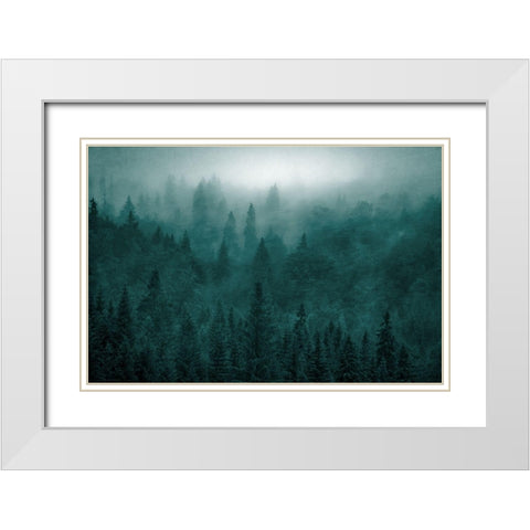 Emerald Forest White Modern Wood Framed Art Print with Double Matting by Kimberly, Allen