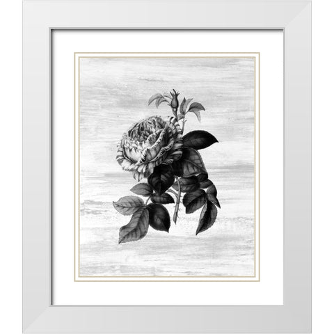 Botanical Flower 2 White Modern Wood Framed Art Print with Double Matting by Kimberly, Allen