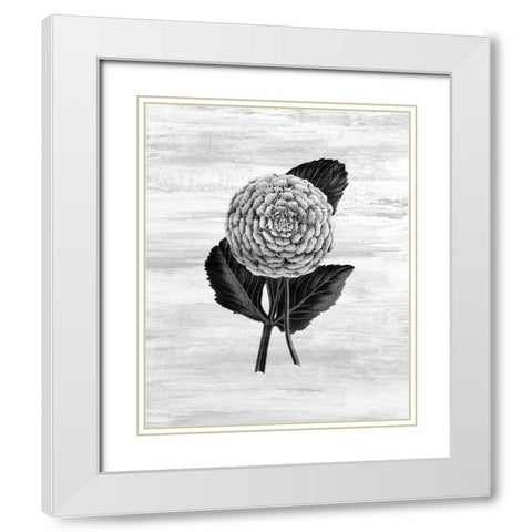 Botanical Flower 3 White Modern Wood Framed Art Print with Double Matting by Kimberly, Allen