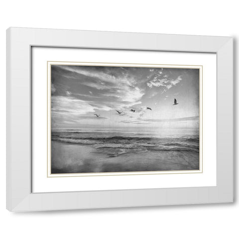 Soaring Above The Sea White Modern Wood Framed Art Print with Double Matting by Kimberly, Allen