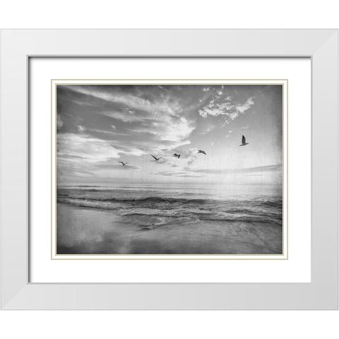 Soaring Above The Sea White Modern Wood Framed Art Print with Double Matting by Kimberly, Allen