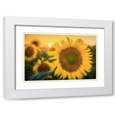 Morning Gold White Modern Wood Framed Art Print with Double Matting by Kimberly, Allen