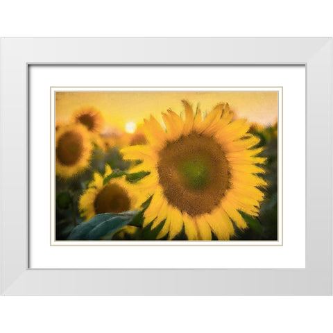 Morning Gold White Modern Wood Framed Art Print with Double Matting by Kimberly, Allen
