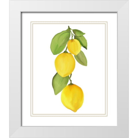 Fresh Lemons 4 White Modern Wood Framed Art Print with Double Matting by Kimberly, Allen