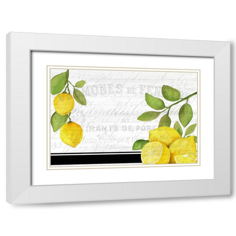 Fresh Lemons 7 White Modern Wood Framed Art Print with Double Matting by Kimberly, Allen