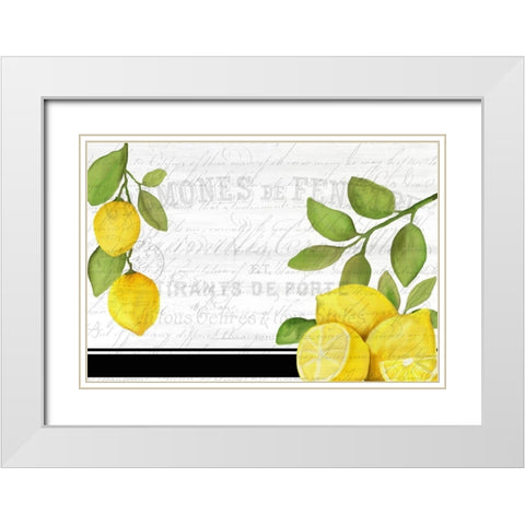 Fresh Lemons 7 White Modern Wood Framed Art Print with Double Matting by Kimberly, Allen