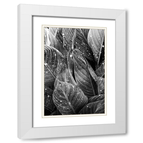 Midnight Palm Leaves 1 bw White Modern Wood Framed Art Print with Double Matting by Allen, Kimberly