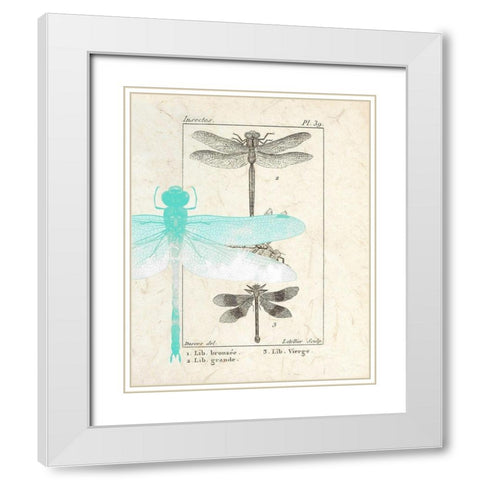 Field Guide 1 White Modern Wood Framed Art Print with Double Matting by Allen, Kimberly