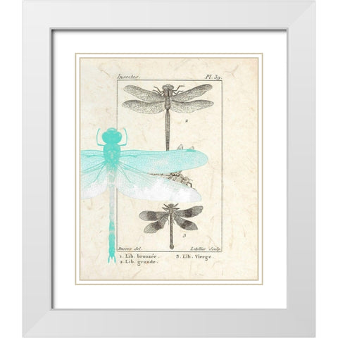 Field Guide 1 White Modern Wood Framed Art Print with Double Matting by Allen, Kimberly
