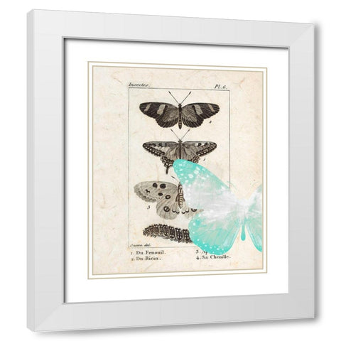 Field Guide 2 White Modern Wood Framed Art Print with Double Matting by Allen, Kimberly