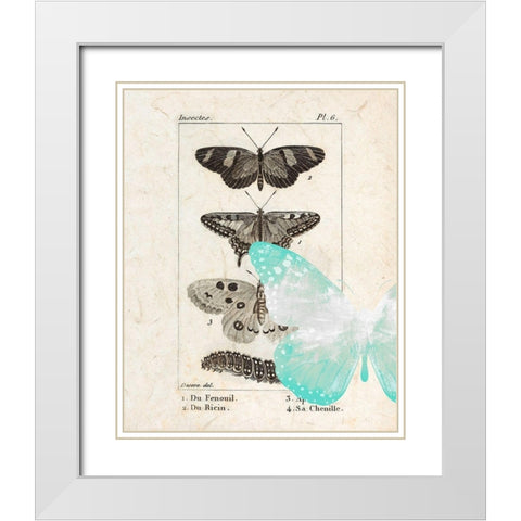 Field Guide 2 White Modern Wood Framed Art Print with Double Matting by Allen, Kimberly