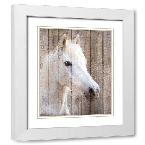Painted White White Modern Wood Framed Art Print with Double Matting by Allen, Kimberly