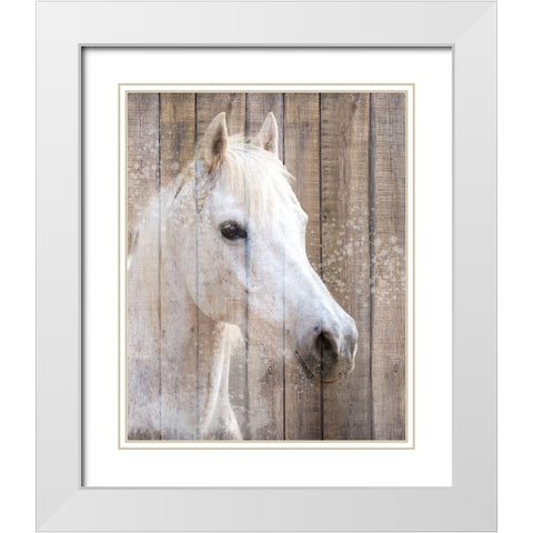 Painted White White Modern Wood Framed Art Print with Double Matting by Allen, Kimberly