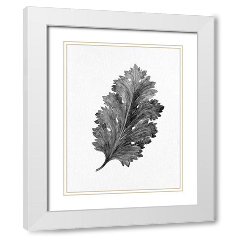 Acanthus Leaf 2 White Modern Wood Framed Art Print with Double Matting by Allen, Kimberly