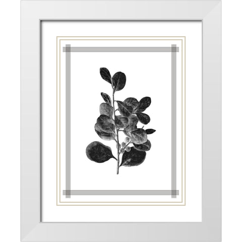 Pressed 1 White Modern Wood Framed Art Print with Double Matting by Allen, Kimberly