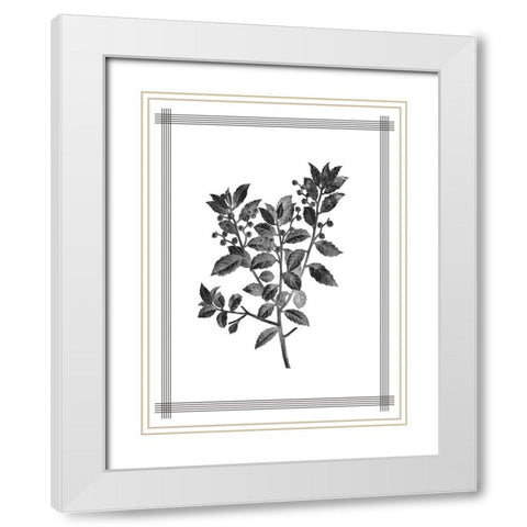 Pressed 2 White Modern Wood Framed Art Print with Double Matting by Allen, Kimberly