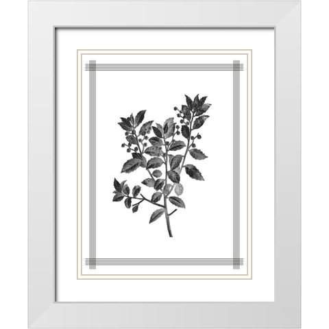 Pressed 2 White Modern Wood Framed Art Print with Double Matting by Allen, Kimberly
