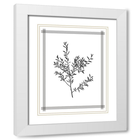 Pressed 3 White Modern Wood Framed Art Print with Double Matting by Allen, Kimberly
